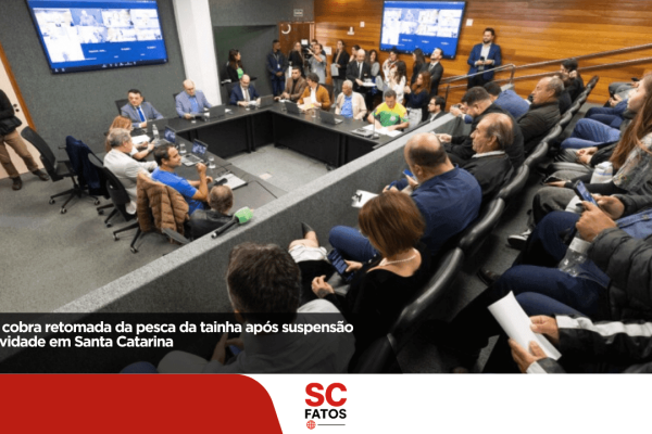 Alesc cobra retomada da pesca de arrasto da tainha e revisão das cotas em Santa Catarina