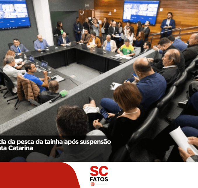 Alesc cobra retomada da pesca de arrasto da tainha e revisão das cotas em Santa Catarina