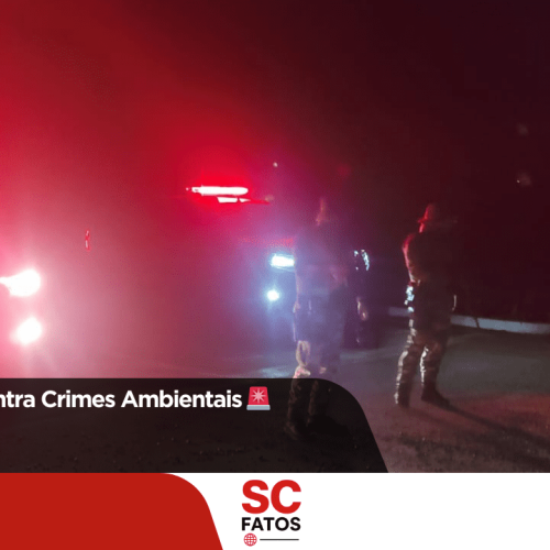 ð¨ Operação Contra Crimes Ambientais ð¨