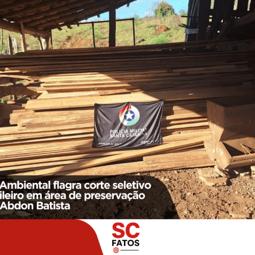 Polícia Militar Ambiental flagra corte seletivo de Pinheiro-brasileiro em área de preservação permanente em Abdon Batista