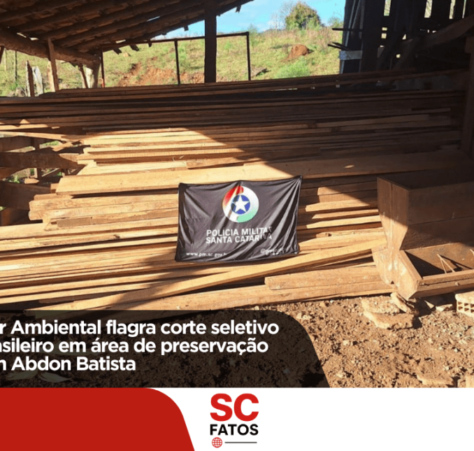Polícia Militar Ambiental flagra corte seletivo de Pinheiro-brasileiro em área de preservação permanente em Abdon Batista