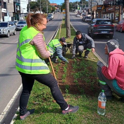 Ações de limpeza e manutenção da Secretaria de Serviços Públicos beneficiam diferentes regiões de Lages nesta terça-feira!