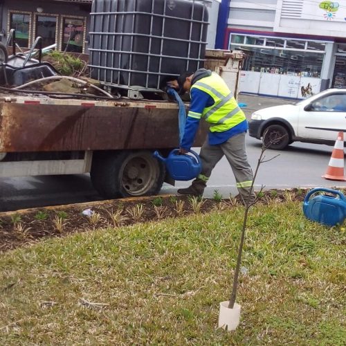 Ações de Serviços Públicos marcam início da semana em Lages!