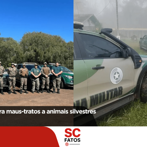 Fiscalização flagra maus-tratos a animais silvestres em Chapecó
