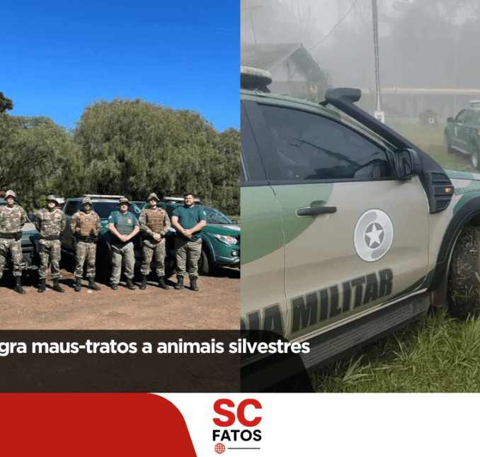 Fiscalização flagra maus-tratos a animais silvestres em Chapecó