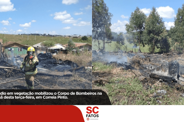 Incêndio em vegetação mobiliza Bombeiros na manhã desta terça-feira em Correia Pinto Chamas atingiram área de aproximadamente 200 metros quadrados no bairro Planalto