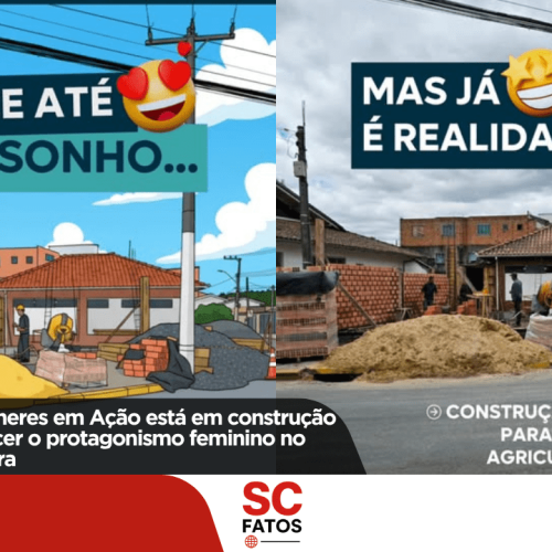 Quiosque das Mulheres em Ação está em construção e promete fortalecer o protagonismo feminino no campo em Palmeira
