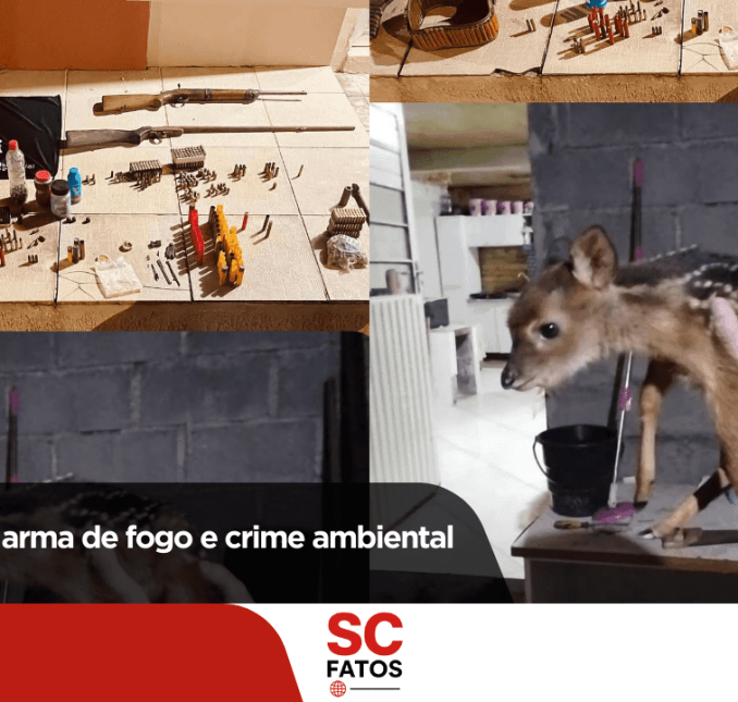 Posse ilegal de arma de fogo e crime ambiental
