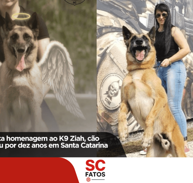 Polícia Civil presta homenagem ao K9 Ziah, cão policial que atuou por dez anos em Santa Catarina
