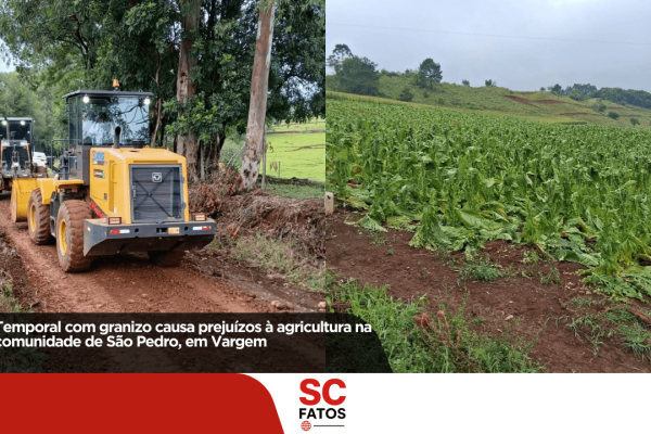 Temporal com granizo causa prejuízos à agricultura na comunidade de São Pedro, em Vargem