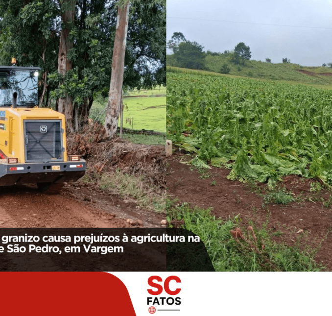 Temporal com granizo causa prejuízos à agricultura na comunidade de São Pedro, em Vargem