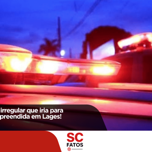 Polícia apreende carga irregular de vinhos que iria para Florianópolis!