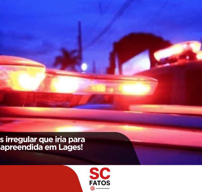 Polícia apreende carga irregular de vinhos que iria para Florianópolis!