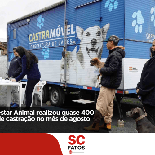 Centro de Bem-Estar Animal realiza quase 400 castrações em agosto e amplia ações de conscientização em Lages
