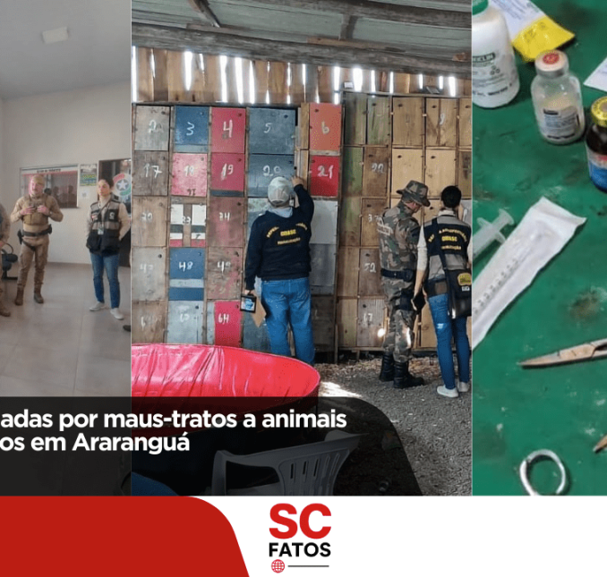 17 pessoas autuadas por maus-tratos a animais em rinha de galos em Araranguá