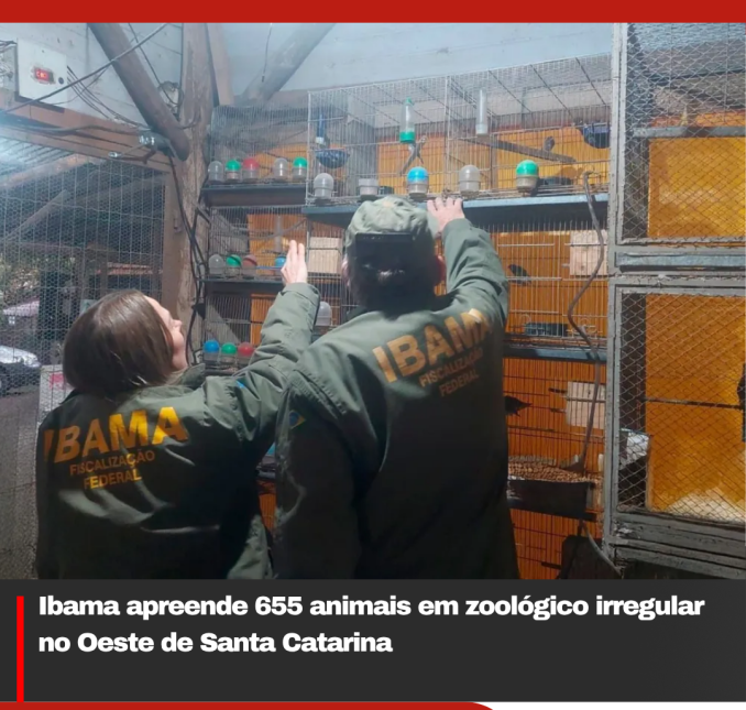 Ibama apreende 655 animais em zoológico irregular no Oeste de Santa Catarina