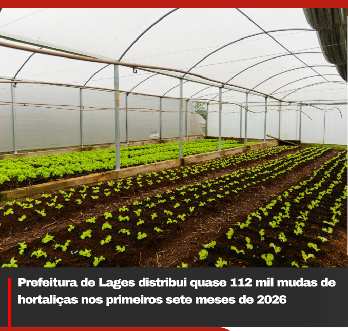 Prefeitura de Lages distribui quase 112 mil mudas de hortaliças nos primeiros sete meses de 2026