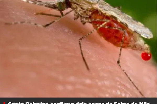 Santa Catarina confirma dois casos de Febre do Nilo Ocidental, com um óbito