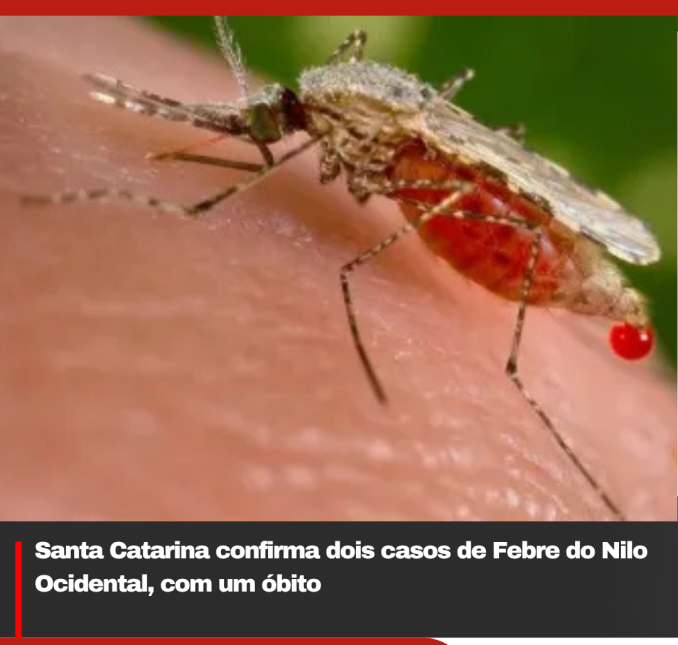Santa Catarina confirma dois casos de Febre do Nilo Ocidental, com um óbito