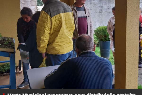 Horto Municipal prossegue com distribuição gratuita de mudas de cebola de cabeça