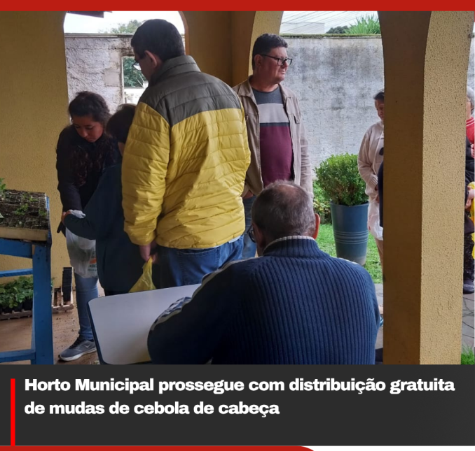 Horto Municipal prossegue com distribuição gratuita de mudas de cebola de cabeça