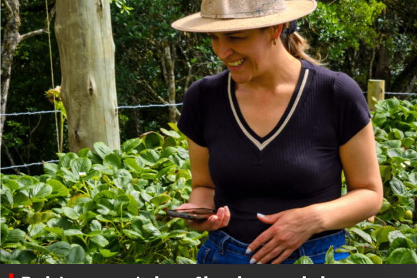 Projeto apresentado na Alesc busca valorizar mulheres que impulsionam a agricultura catarinense