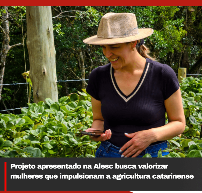 Projeto apresentado na Alesc busca valorizar mulheres que impulsionam a agricultura catarinense