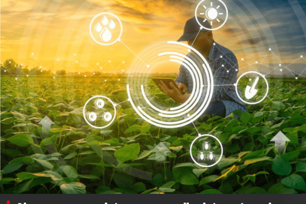 Alesc aprova projetos para ampliar internet rural e modernizar certificação da agroindústria familiar