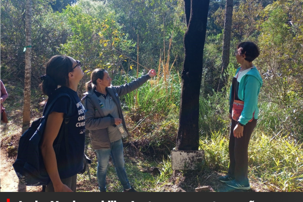Junho Verde mobiliza Lages com programação voltada à sustentabilidade e saúde pública