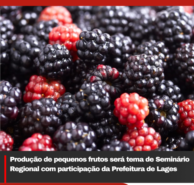 Produção de pequenos frutos será tema de Seminário Regional com participação da Prefeitura de Lages