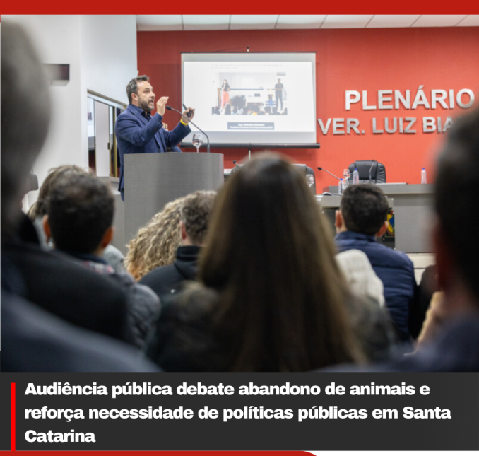 Audiência pública debate abandono de animais e reforça necessidade de políticas públicas em Santa Catarina
