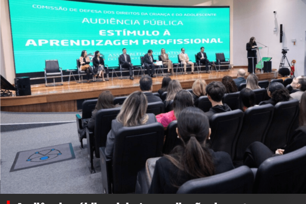 Audiência pública debate ampliação de vagas para jovem aprendiz em Santa Catarina