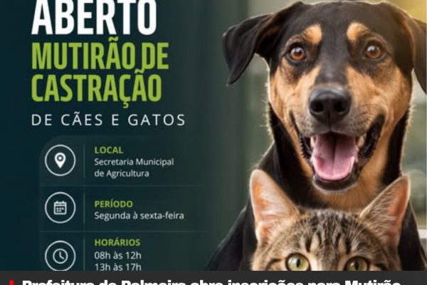 Prefeitura de Palmeira abre inscrições para Mutirão de Castração de Cães e Gatos