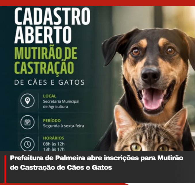 Prefeitura de Palmeira abre inscrições para Mutirão de Castração de Cães e Gatos